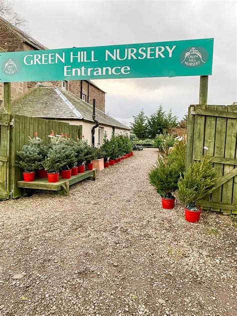 Greenhill Garden Nursery